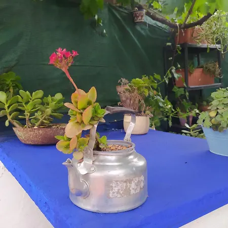 Casa Con Piscina - Las Yucas * Cordoba